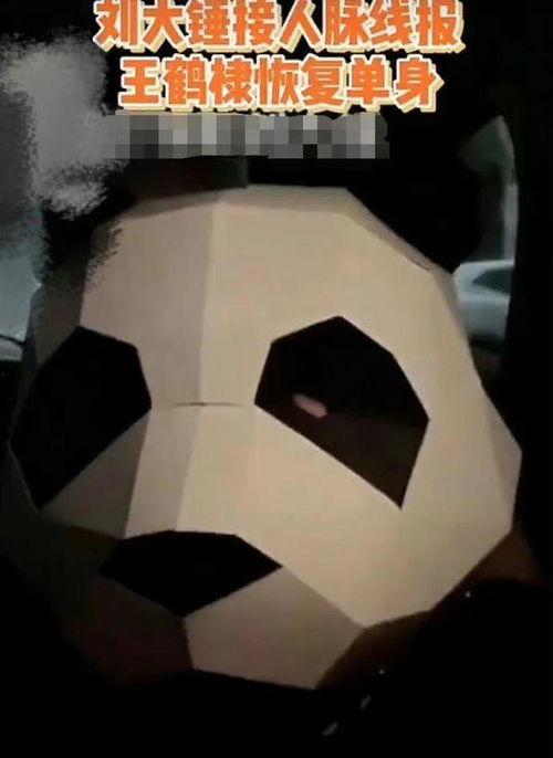 狗仔爆料王鹤棣最新消息,狗仔爆料揭秘他的最新生活点滴