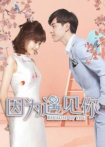 因为遇见你电视剧全集在线观看,浪漫邂逅，情感纠葛，全程在线观看！